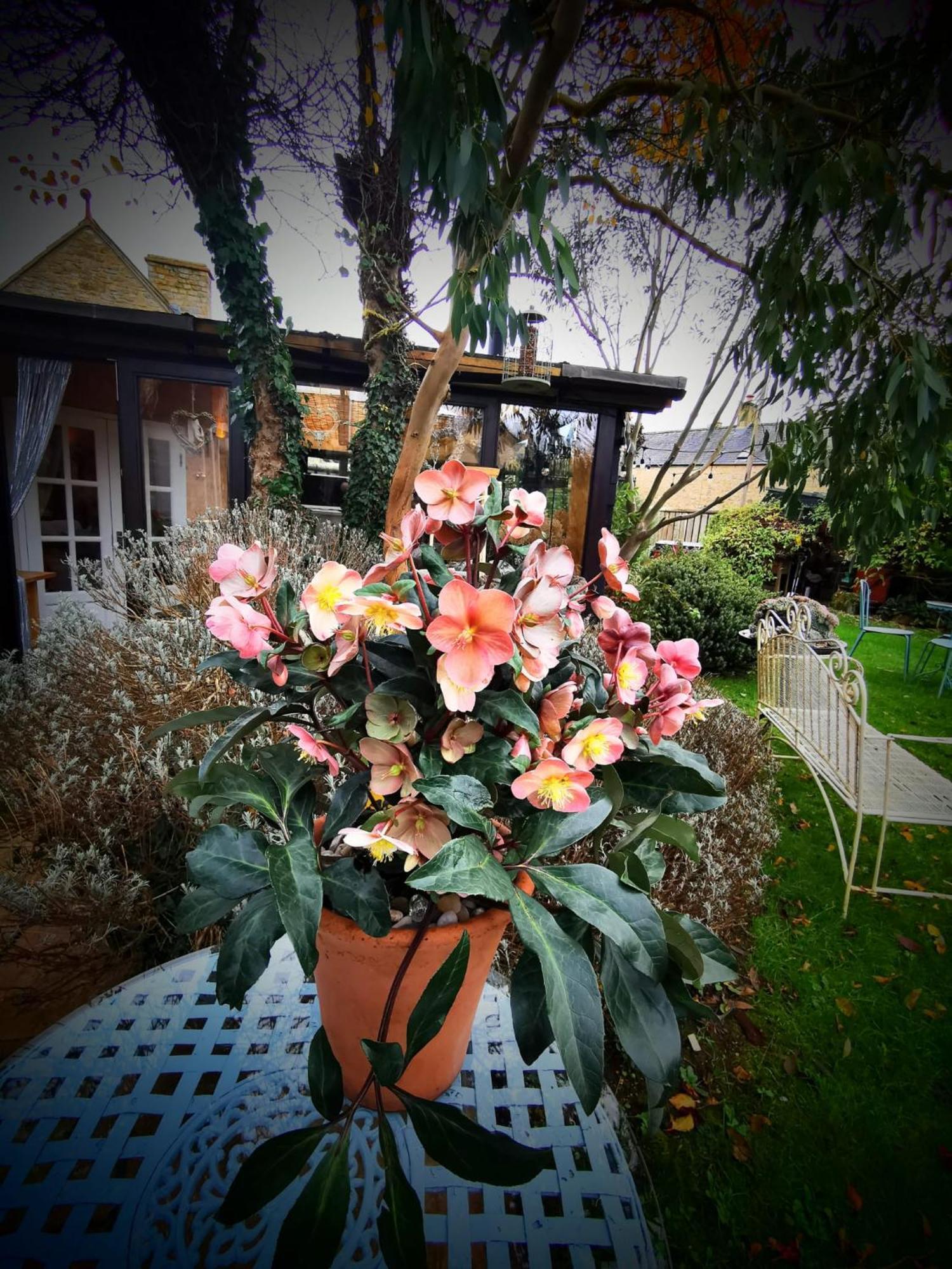 Cotswold Garden Chalet In Stow-On-The-Wold Екстериор снимка